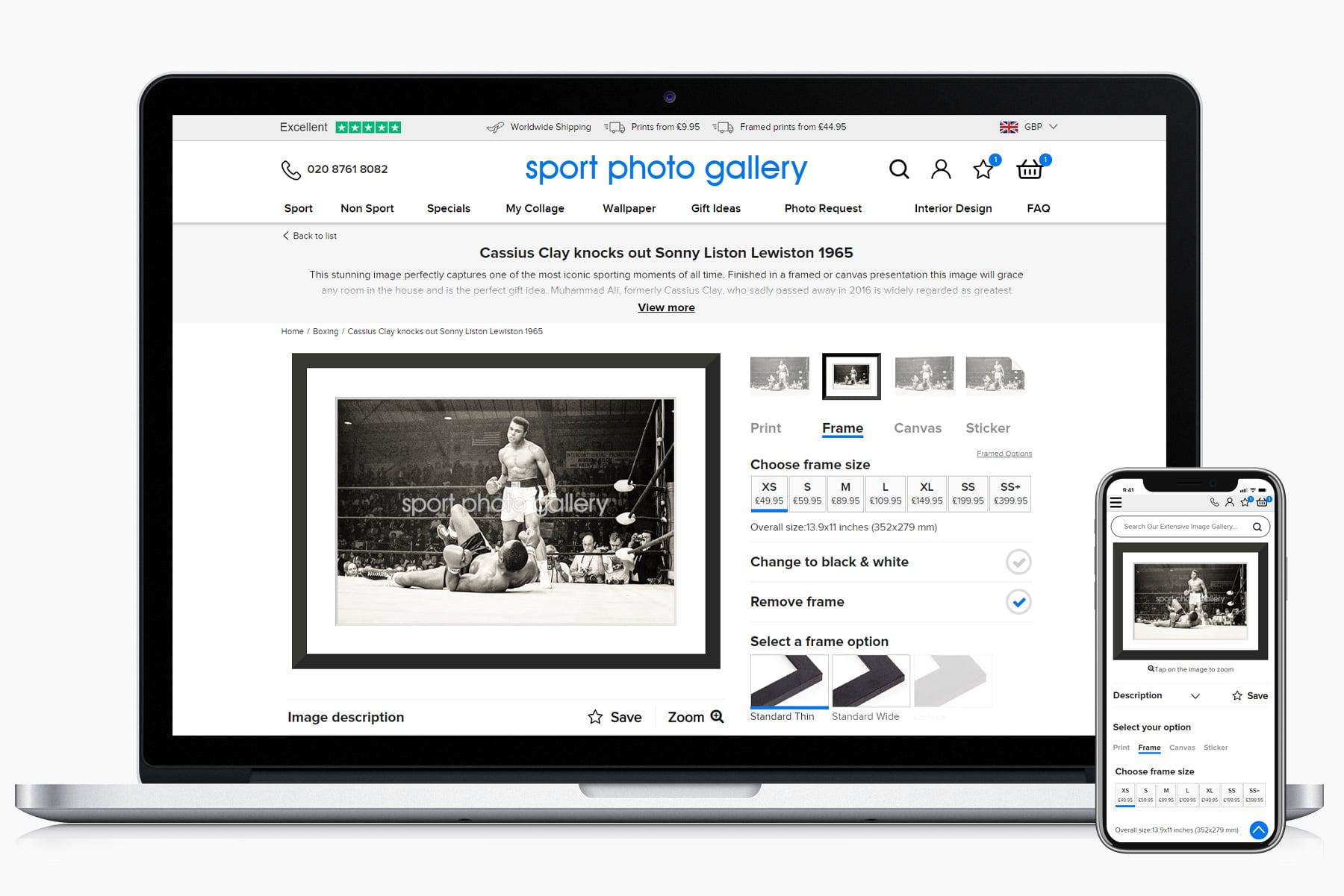Sport Photo Gallery Options